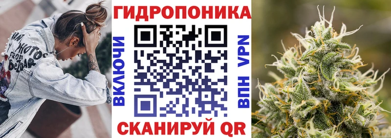 дарнет шоп  Томилино  Конопля план 